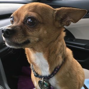 Meet your Posher, Sue